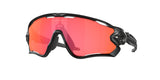 OAKLEY OO9290 JAWBREAKER