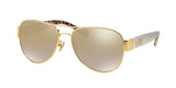 COACH HC7059 L138