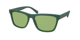POLO PH4167