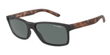 ARNETTE AN4185 SLICKSTER