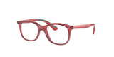 RAY BAN RY1604