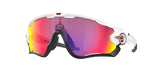 OAKLEY OO9290 JAWBREAKER