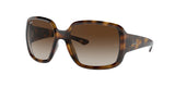 RAY BAN RB4347 POWDERHORN