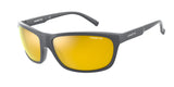 ARNETTE AN4263 EL CARMEN