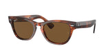 RAY BAN RB2201 LARAMIE