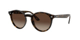 RAY BAN RB4380N BLAZE PANTHOS