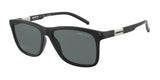 ARNETTE AN4276 DUDE