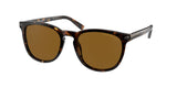COACH HC8284 L1120