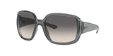 RAY BAN RB4347 POWDERHORN