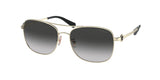 COACH HC7127 C6177