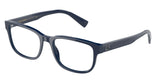 DOLCE & GABBANA DG3341