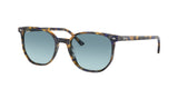 RAY BAN RB2197 ELLIOT