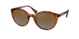 RALPH RA5273