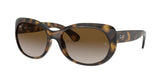 RAY BAN RB4325