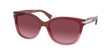 COACH HC8132 L109