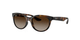 RAY BAN RJ9068S