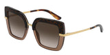 DOLCE & GABBANA DG4373