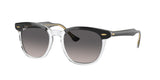 RAY BAN RB2298 HAWKEYE