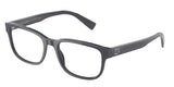 DOLCE & GABBANA DG3341