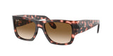RAY BAN RB2187 WAYFARER NOMAD