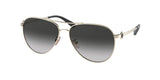 COACH HC7128 C6178