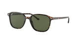 RAY BAN RB2193 LEONARD