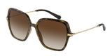 DOLCE & GABBANA DG6157