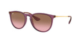 RAY BAN RB4171 ERIKA