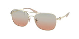 COACH HC7127 C6177