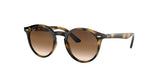 RAY BAN RJ9064S