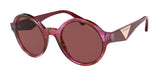 EMPORIO ARMANI EA4153