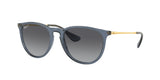 RAY BAN RB4171 ERIKA