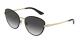 DOLCE & GABBANA DG2280