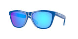 OAKLEY OO9013 FROGSKINS