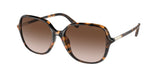 COACH HC8344U C9205