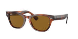 RAY BAN RB2201 LARAMIE