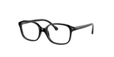 RAY BAN RY1903