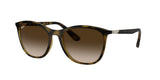 RAY BAN RB4317L