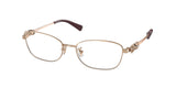 COACH HC5118B