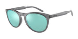 ARNETTE AN4299 GORGON