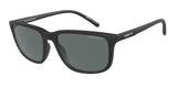 ARNETTE AN4288 PIRX