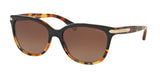 COACH HC8132 L109