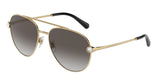 DOLCE & GABBANA DG2283B
