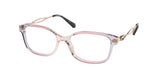 COACH HC6172