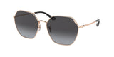 COACH HC7132 C7998