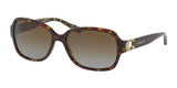 COACH HC8241 L1031
