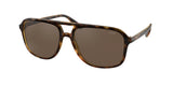 CHAPS CP5006