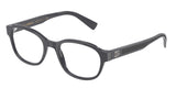 DOLCE & GABBANA DG3339
