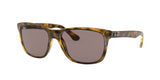 RAY BAN RB4181 RB4181