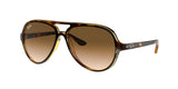 RAY BAN RB4125 CATS 5000